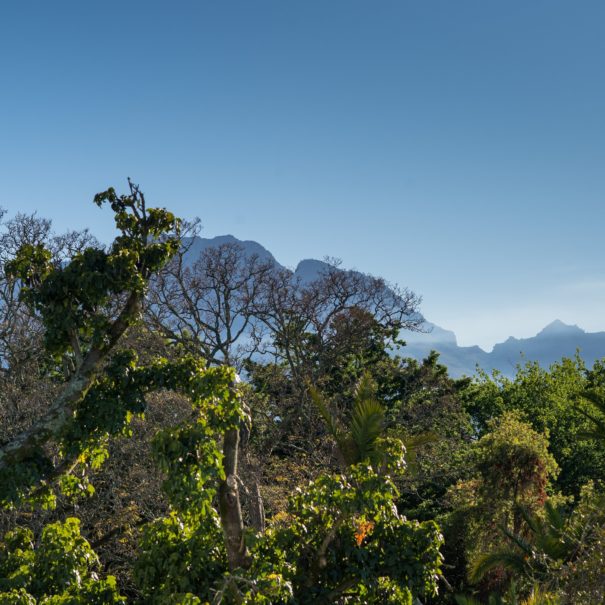 Rozenhof Villas - Garden View Room